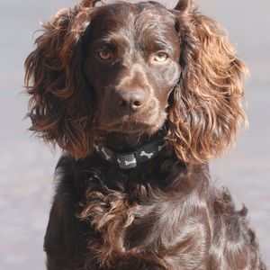 Meet your Posher, Jill